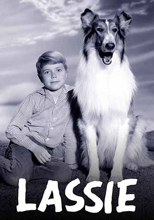 Lassie